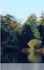 Restoration of Johnstown Castle, Co. Wexford